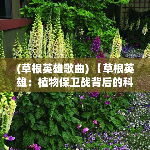 (草根英雄歌曲) 【草根英雄：植物保卫战背后的科学揭秘！洞察自然界的神奇防御机制】